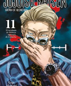 jujutsukaisen11