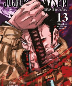 jujutsukaisen13