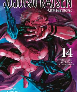 jujutsukaisen14