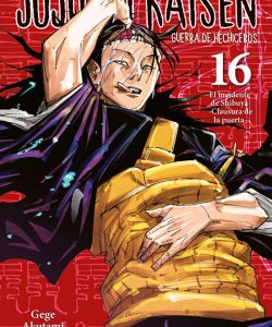 jujutsukaisen16