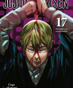 jujutsukaisen17