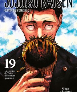 jujutsukaisen19