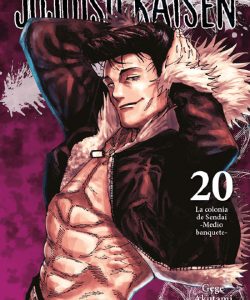 jujutsukaisen20