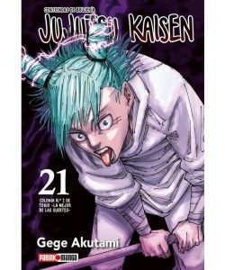 jujutsukaisen21ar