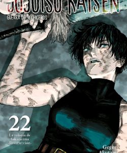 jujutsukaisen22