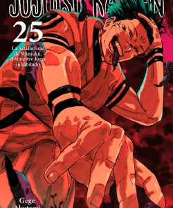 jujutsukaisen25