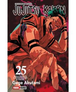 jujutsukaisen25ar
