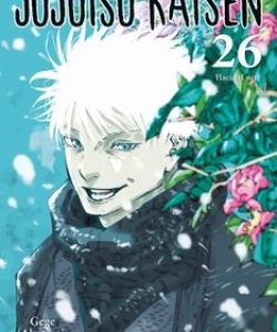 jujutsukaisen26