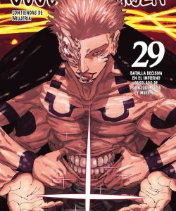 jujutsukaisen29