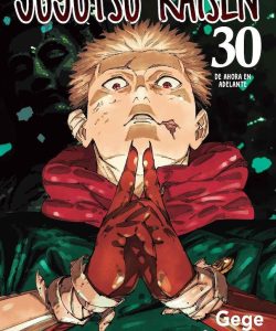 jujutsukaisen30