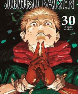 jujutsukaisen30norma