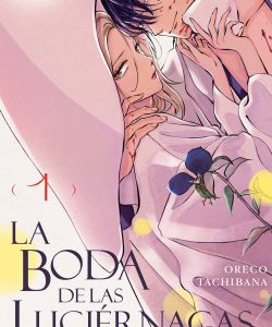 labodadelasluciernagas01