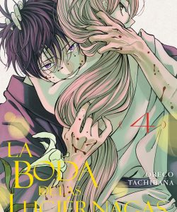 labodadelasluciernagas04