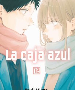 lacajaazul12