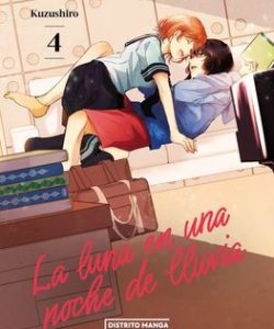 lalunaenunanochedelluvia04