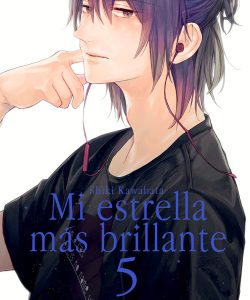 miestrellamasbrillante05
