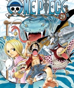 onepiece29ar