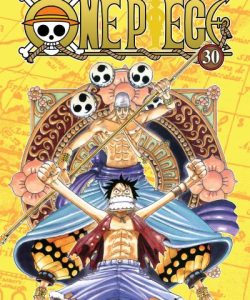 onepiece30ar