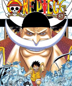 onepiece57ar