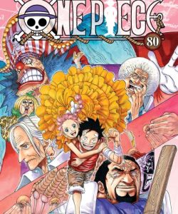 onepiece80ar