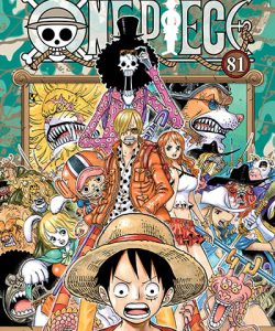 onepiece81ar