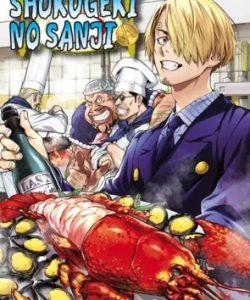 onepieceshokugekinosanji
