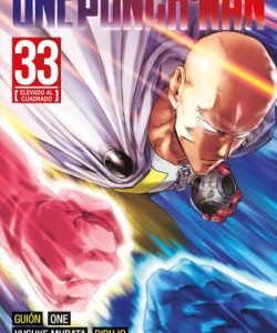 onepunchman33
