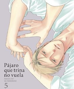 pajaroquetrinanovuela05