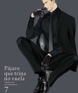 pajaroquetrinanovuela07