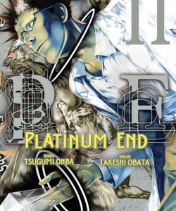 platinumend11