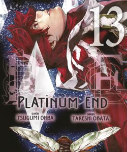 platinumend13