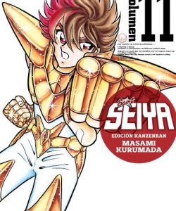 saintseiyakanzenban11ar