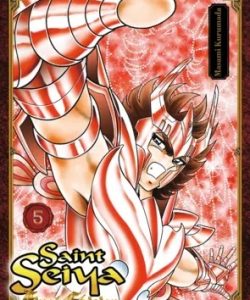 saintseiyaloscaballerosdelzodiacofinaledition05