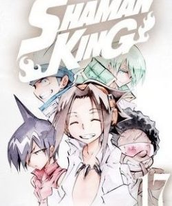 shamanking17