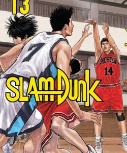 slamdunk13ar