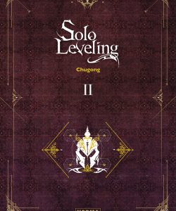 sololeveling02novela