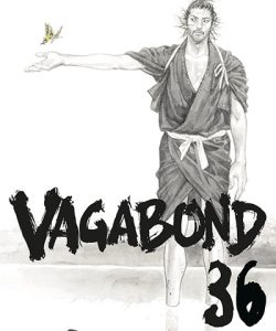 vagabond36ar